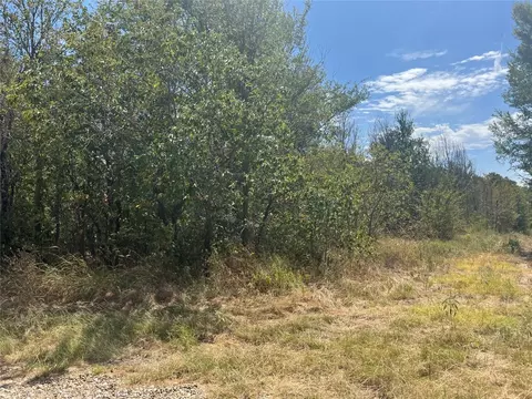 lot73 Raven Wood Dr, Trinidad, TX 75163