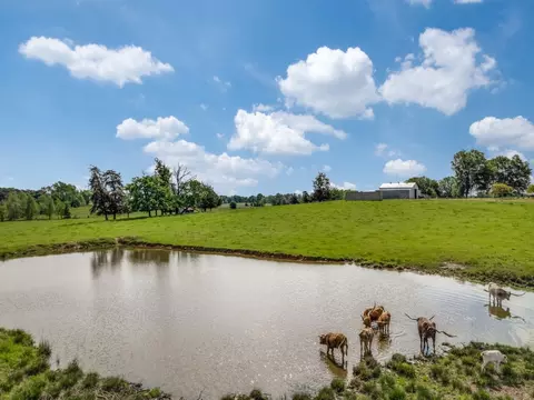 Tbd Fm 1519 N, Leesburg, TX 75451