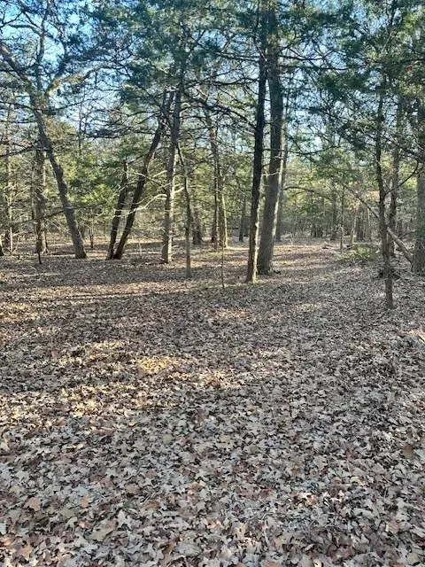 Tbd Brandy Lane, Quinlan, TX 75474