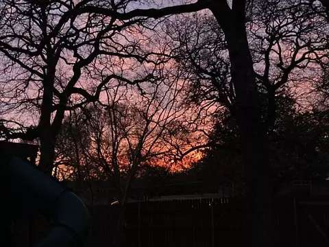 1613 Barbara Dr, Irving, TX 75060