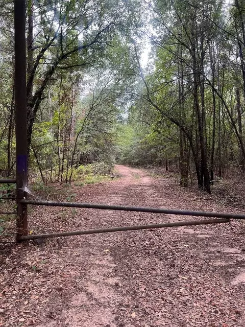 Tbd County Road 2880 Road, Mineola, TX 75773