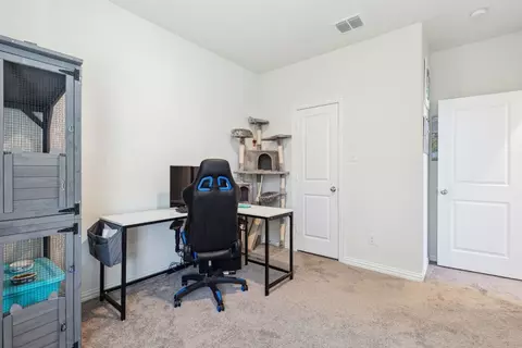 116 Copper Switch Dr, Anna, TX 75409 photo 24