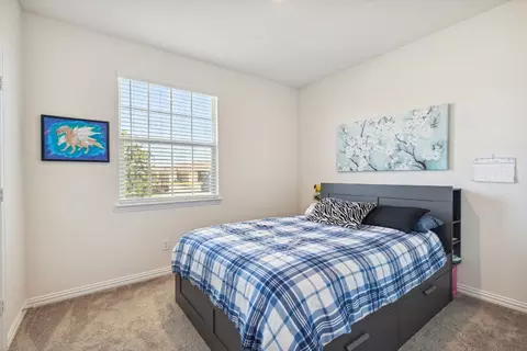 116 Copper Switch Dr, Anna, TX 75409 photo 19