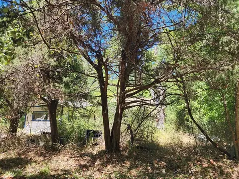 555 Micheaux St, Trinidad, TX 75163