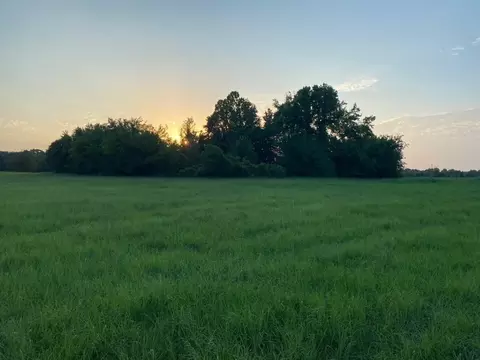 Tbd Lot 1 County Road 1813, Yantis, TX 75497