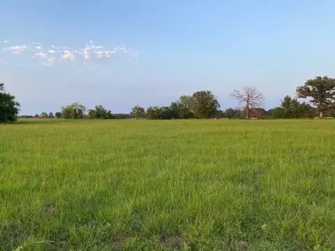 Tbd Lot 2 County Road 1813, Yantis, TX 75497