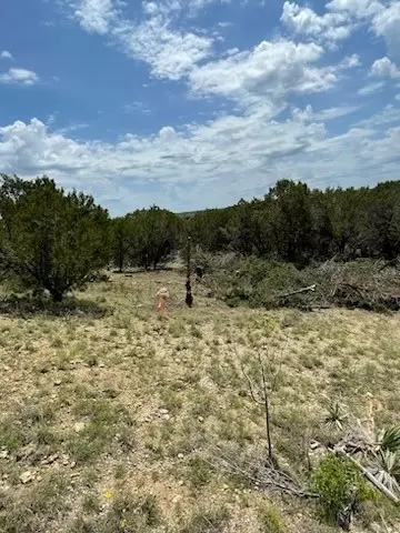lot1 12 7th 8th St, Glen Rose, TX 76043