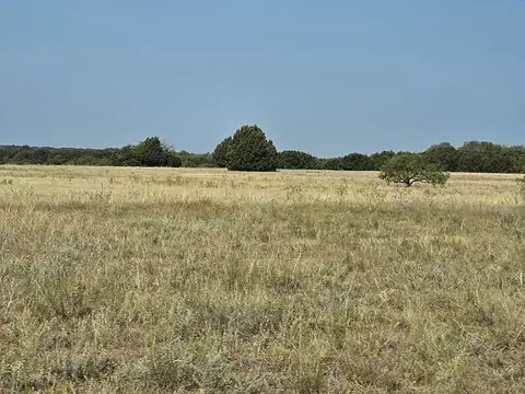 1734 White Bluff Dr, Whitney, TX 76692