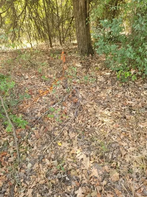 Lot 24 Westwood Drive, Trinidad, TX 75163