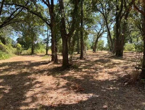 609 Oakwood Dr, Tool, TX 75143 photo 5