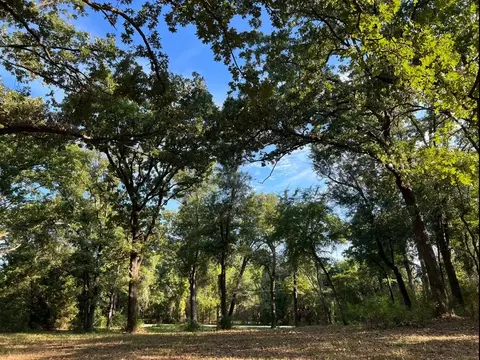 609 Oakwood Dr, Tool, TX 75143
