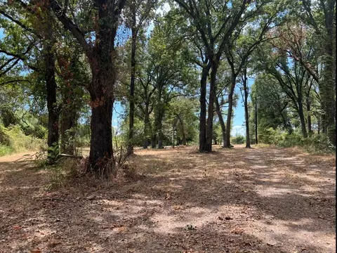 609 Oakwood Dr, Tool, TX 75143 photo 3