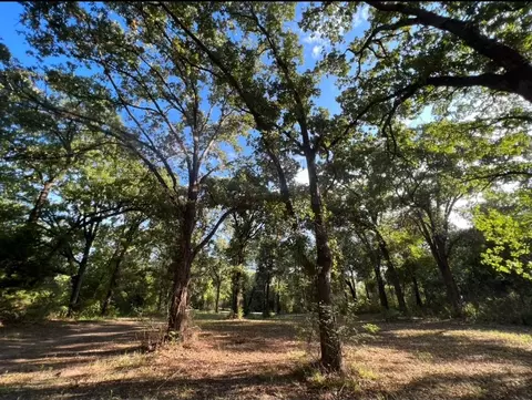609 Oakwood Dr, Tool, TX 75143 photo 2