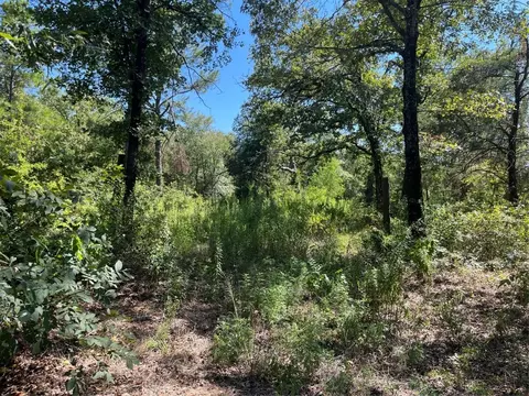 539 Vz Co Rd 4409, Ben Wheeler, TX 75754