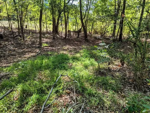 651 County Road 3440, Hawkins, TX 75765