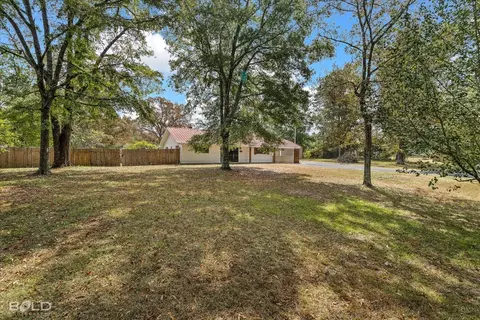 4080 Old Plain Dealing Rd, Plain Dealing, LA 71064 photo 5