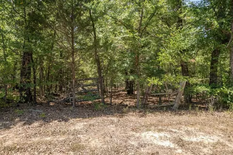 Tbd Vzcr 1517 Tract 3, Grand Saline, TX 75140
