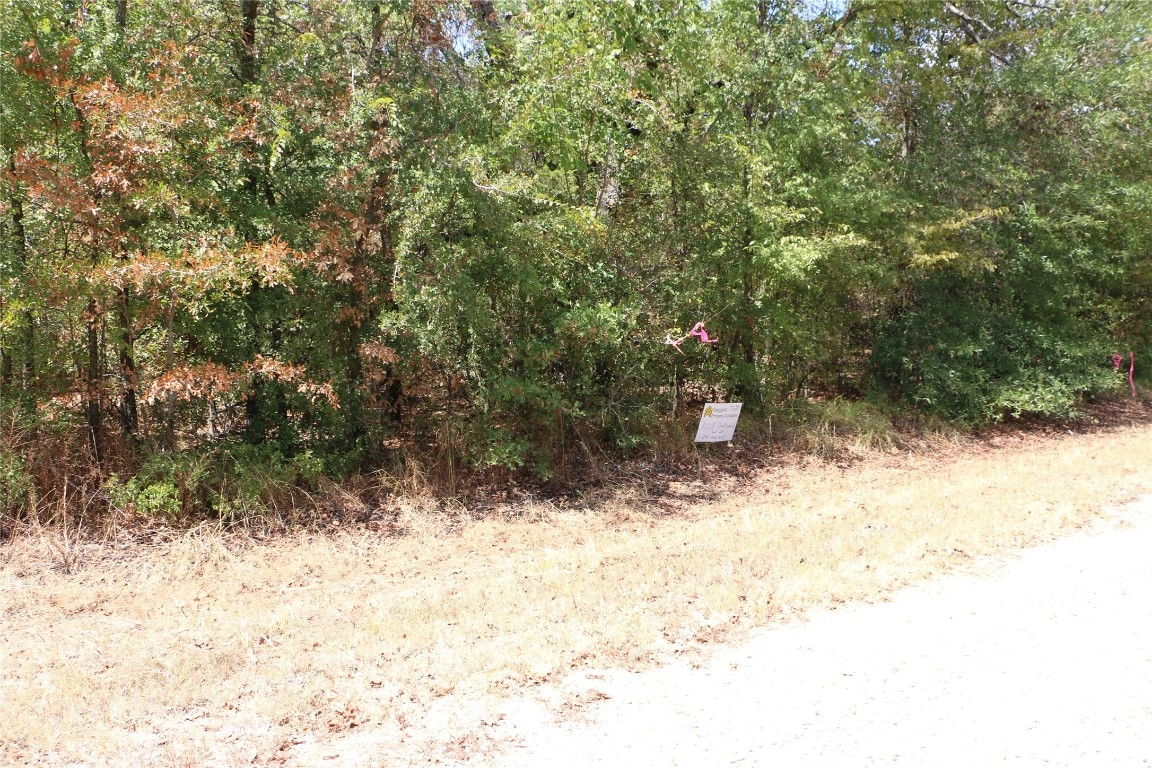 105 Driftwood Dr  