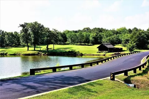 596 Sycamore Hills Loop, Gordonville, TX 76245
