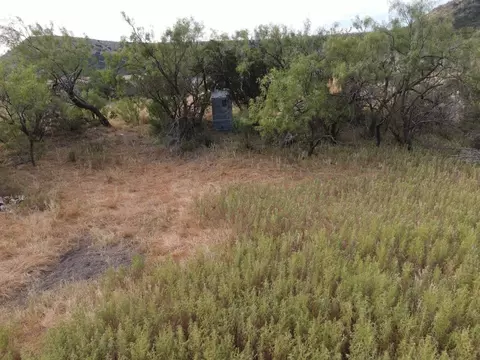 N/a Hillside Rd., Robert Lee, TX 76945 photo 16
