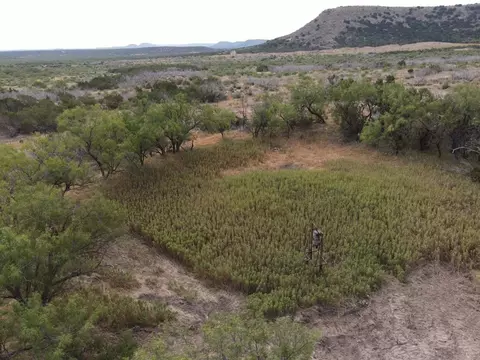 N/a Hillside Rd., Robert Lee, TX 76945 photo 17