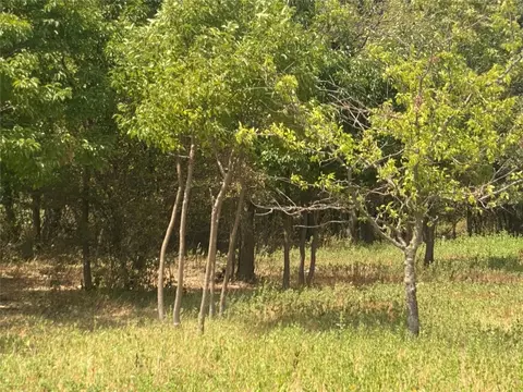 Tbd Cr 123, Comanche, TX 76442 photo 5