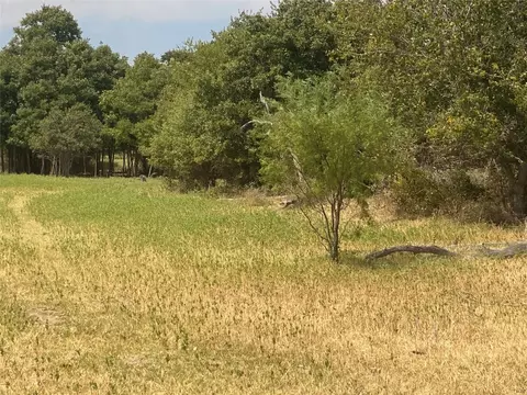 Tbd Cr 123, Comanche, TX 76442 photo 3
