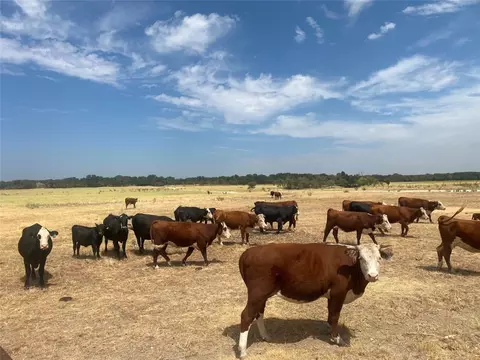 653 Cr 123, Comanche, TX 76442 photo 2