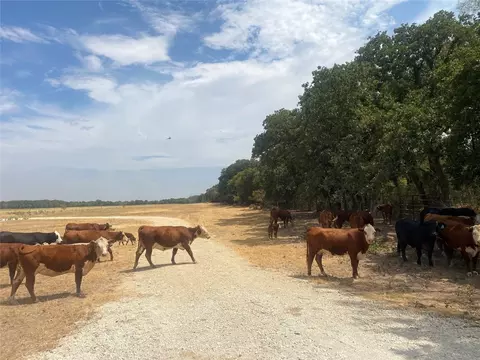 653 Cr 123, Comanche, TX 76442 photo 4