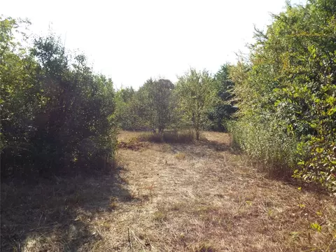 0 Manning Ranch Rd, Eustace, TX 75124 photo 5