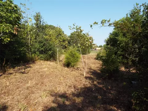 0 Manning Ranch Rd, Eustace, TX 75124 photo 8
