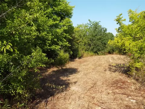 0 Manning Ranch Rd, Eustace, TX 75124 photo 6