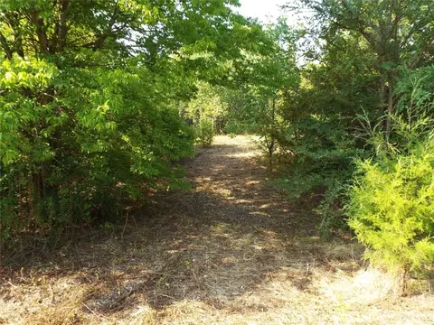 0 Manning Ranch Rd, Eustace, TX 75124 photo 4