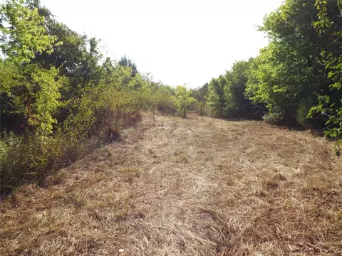 0 Manning Ranch Rd, Eustace, TX 75124 photo 3