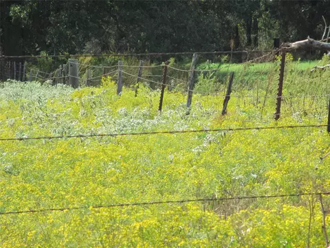 Tbd Fm 934, Blum, TX 76627