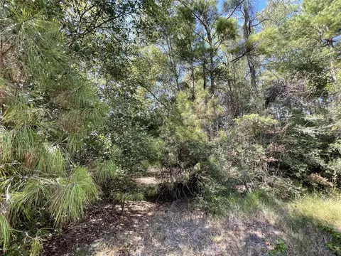 Tbd La Branche Lane, Trinity, TX 75862 photo 4