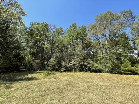 Tbd La Branche Lane, Trinity, TX 75862 photo 2