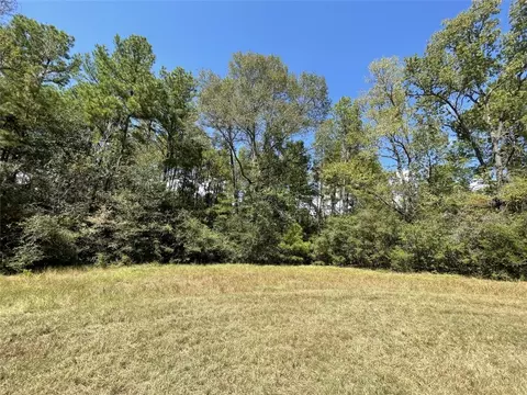 Tbd La Branche Lane, Trinity, TX 75862 photo 3