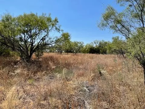 Tbd County Road 347, Hawley, TX 79525