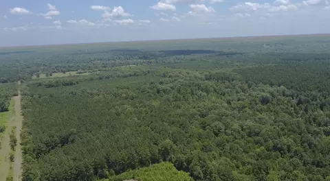 00 Cr 311, De Berry, TX 75639