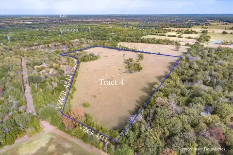 Tbd Vz County Road 4511, Ben Wheeler, TX 75754
