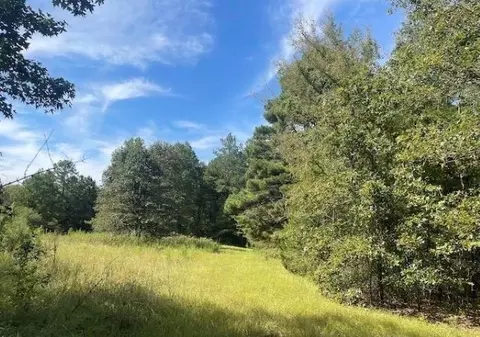 Tbd Hardy Holcomb Road, Hallsville, TX 75650