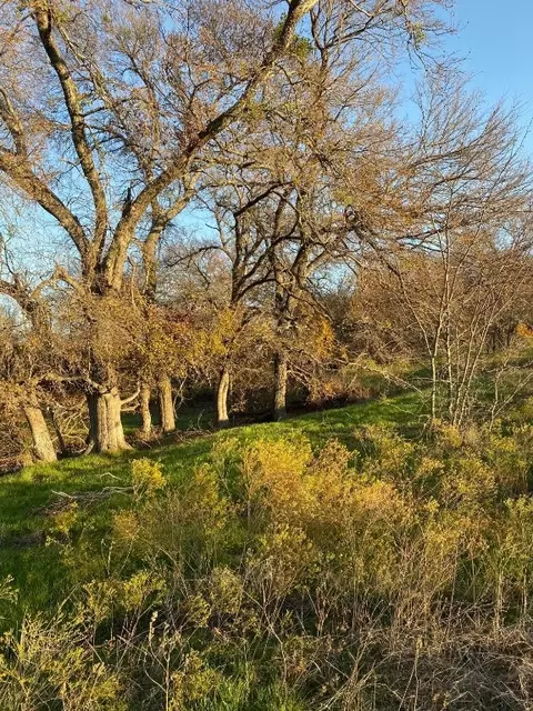 Tbd NE Hcr 3322 Road, Hubbard, TX 76648