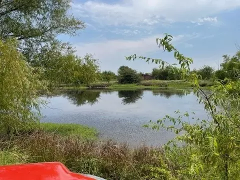 tbd Fm 196 S, Pattonville, TX 75468