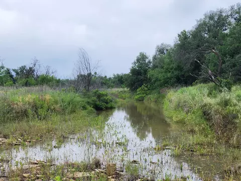 14396 State Highway 6, Moran, TX 76464