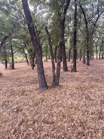 8500 Lavender Rd, Springtown, TX 76082