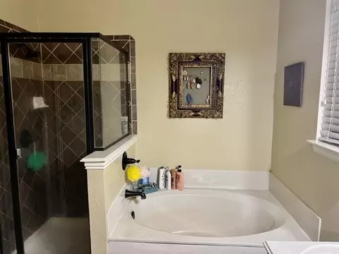 705 Champlain Ct, Midlothian, TX 76065 photo 11