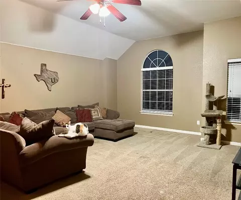 705 Champlain Ct, Midlothian, TX 76065 photo 12