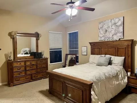 705 Champlain Ct, Midlothian, TX 76065 photo 10