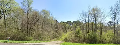 1399 State Highway 64, Ben Wheeler, TX 75754